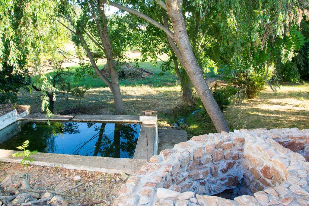 Hotel Rural Monte Da Provenca Elvas Exterior photo