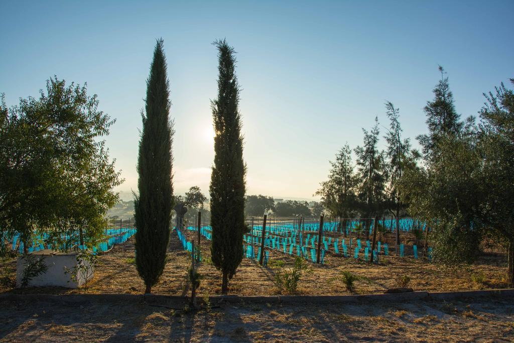 Hotel Rural Monte Da Provenca Elvas Exterior photo